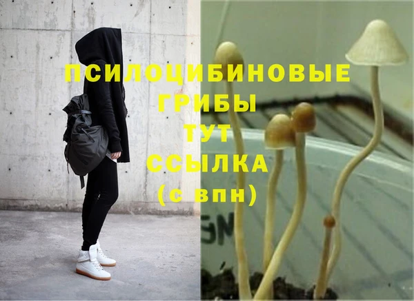 альфа пвп Богородск