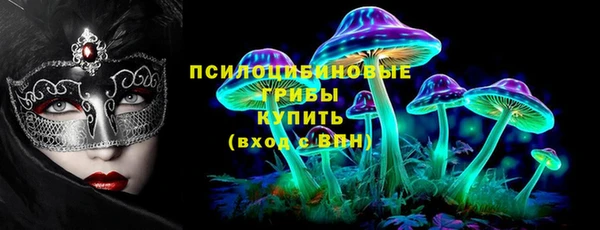ALPHA PVP Богородицк
