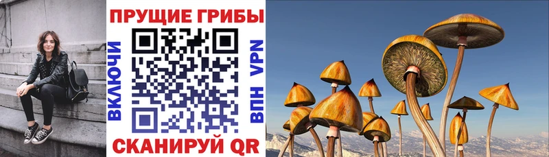 Псилоцибиновые грибы мицелий  Череповец 
